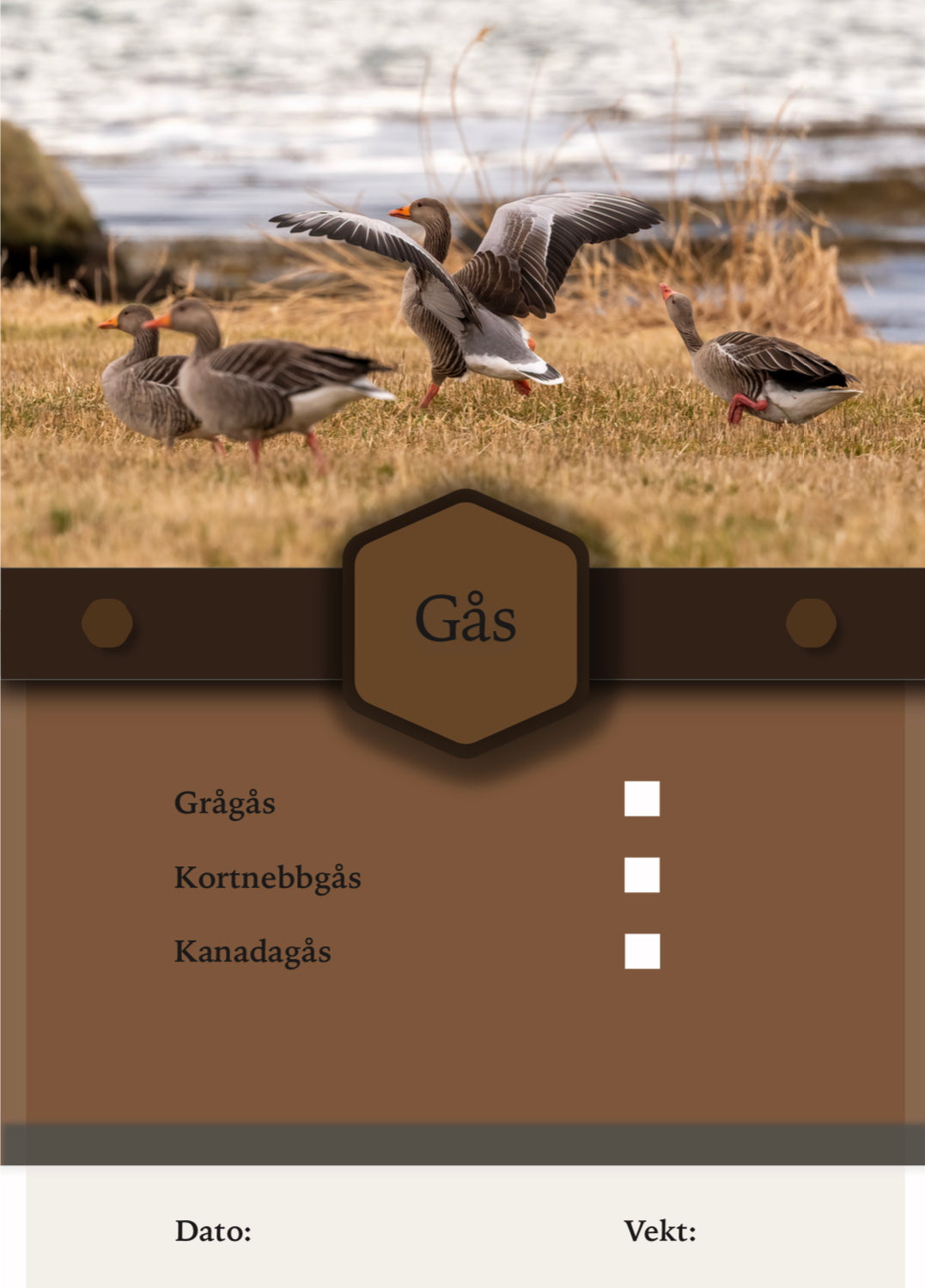 Gås Merkelapper