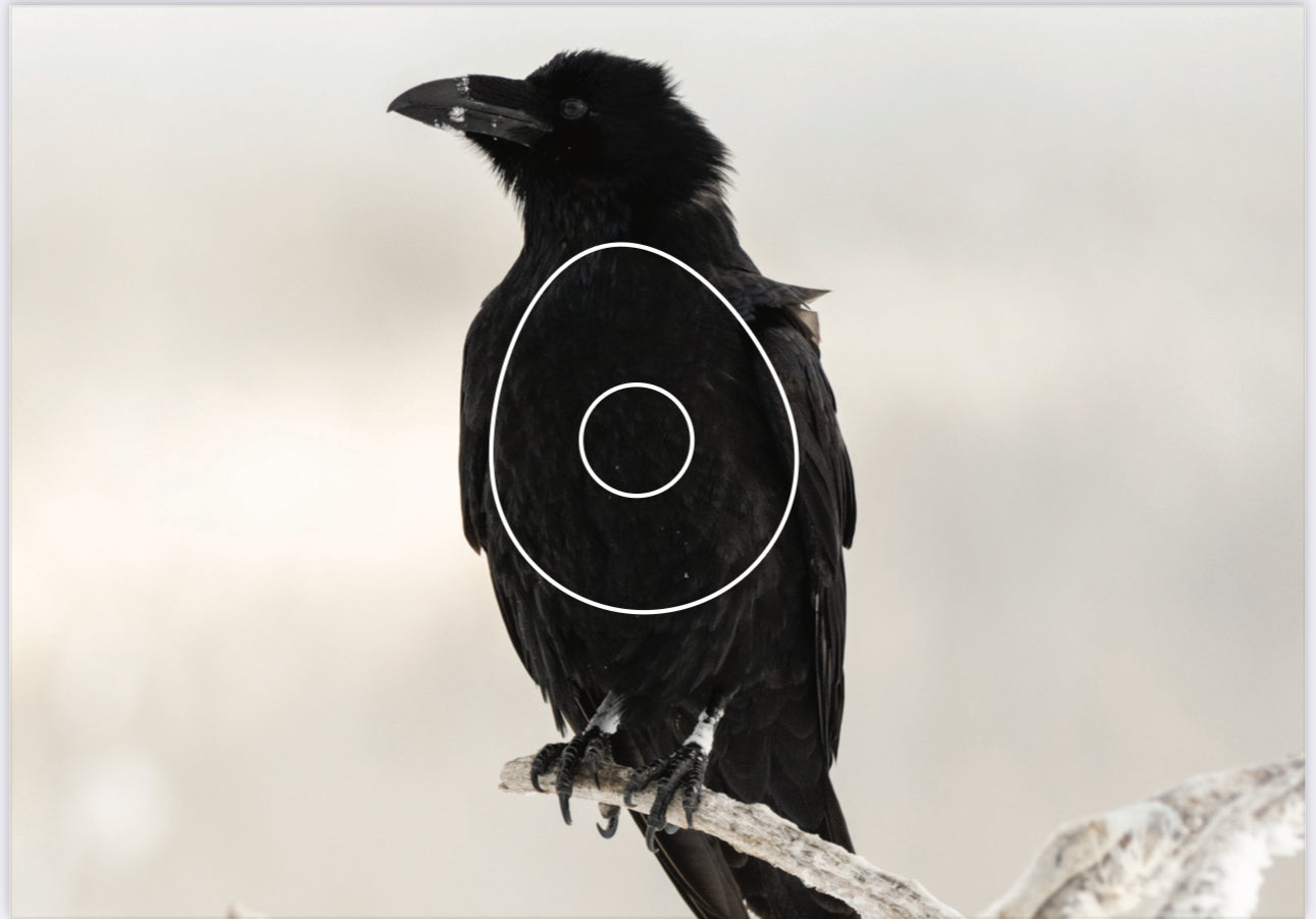 Ravn mindre inner