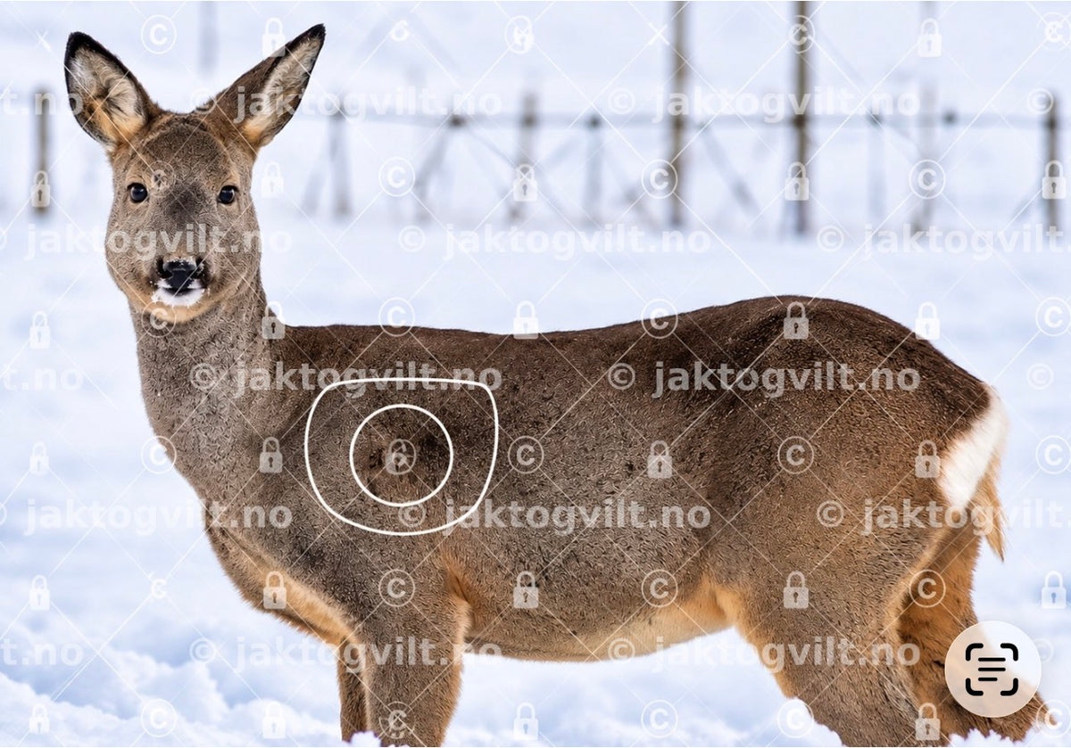 Ravn mindre inner