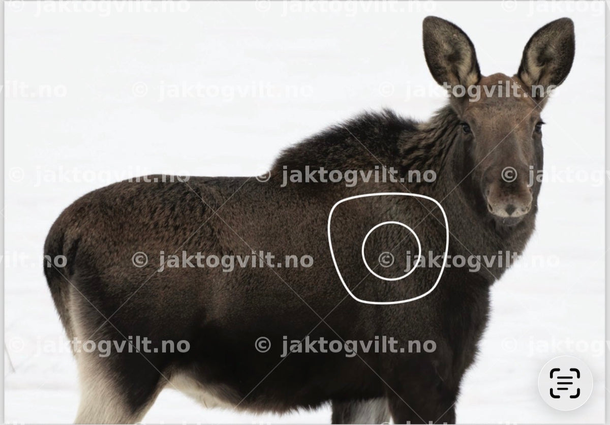 Jaktfelt Cup Faktura