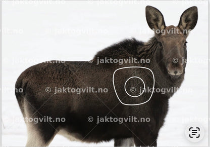 Jaktfelt Cup Faktura