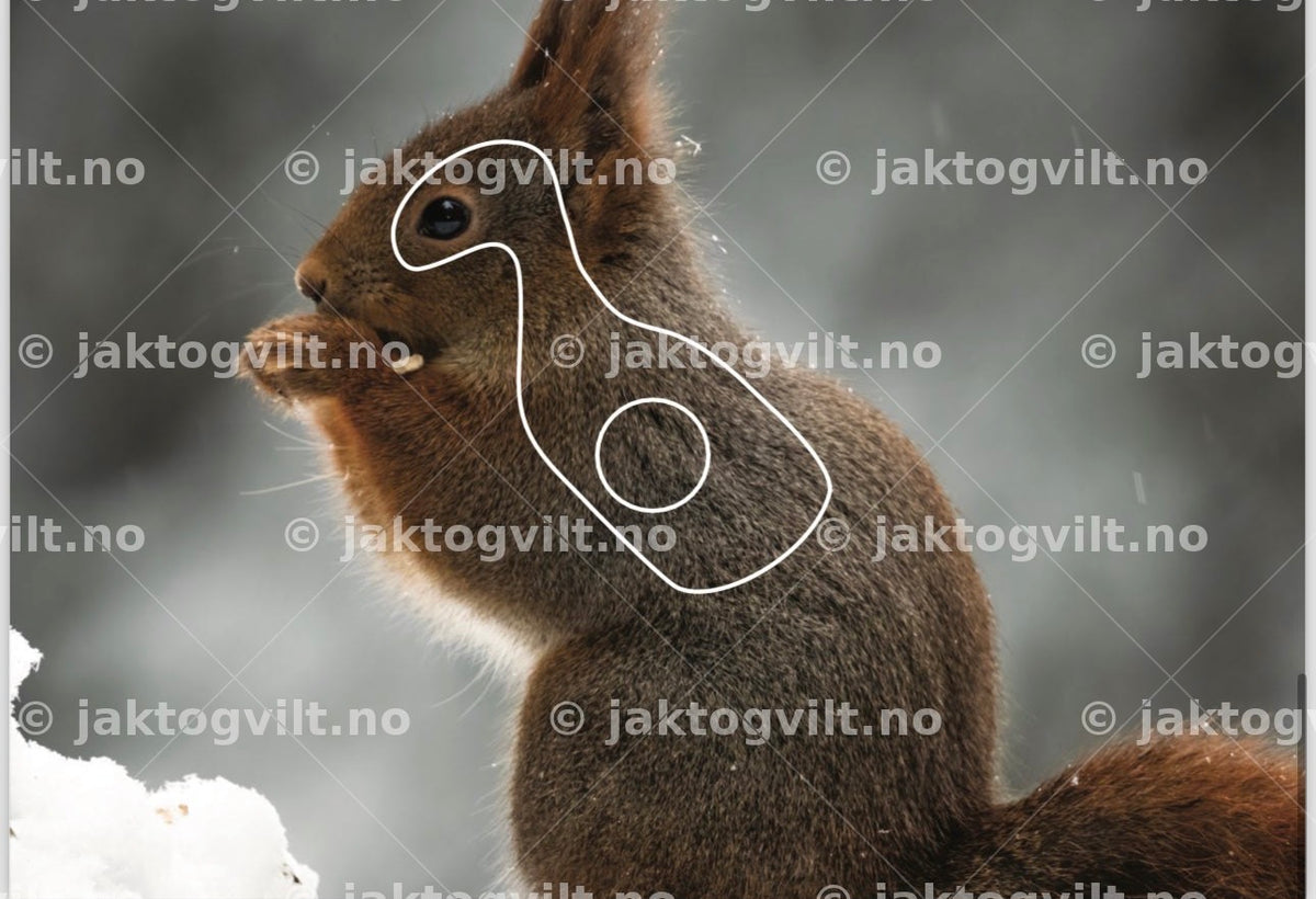 Ravn mindre inner
