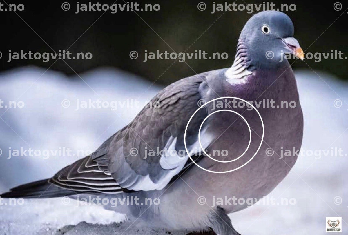 Nasjonal Jaktfelt Cup skyteblinker