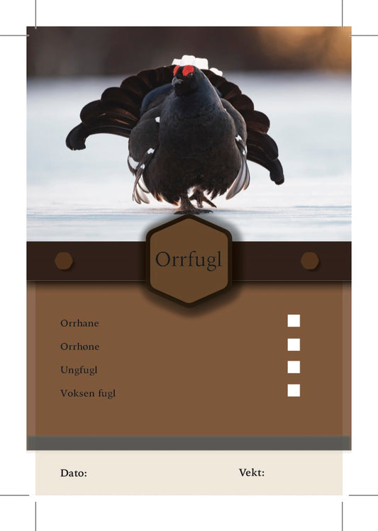 Orrfugl Merkelapper
